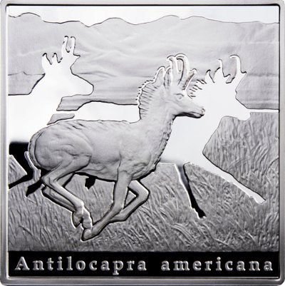 1 $, Osobliwości natury - Widłoróg, 2010