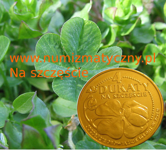 4 Dukaty Na Szczęście - Szczęście obowiązuje 365 dni w roku