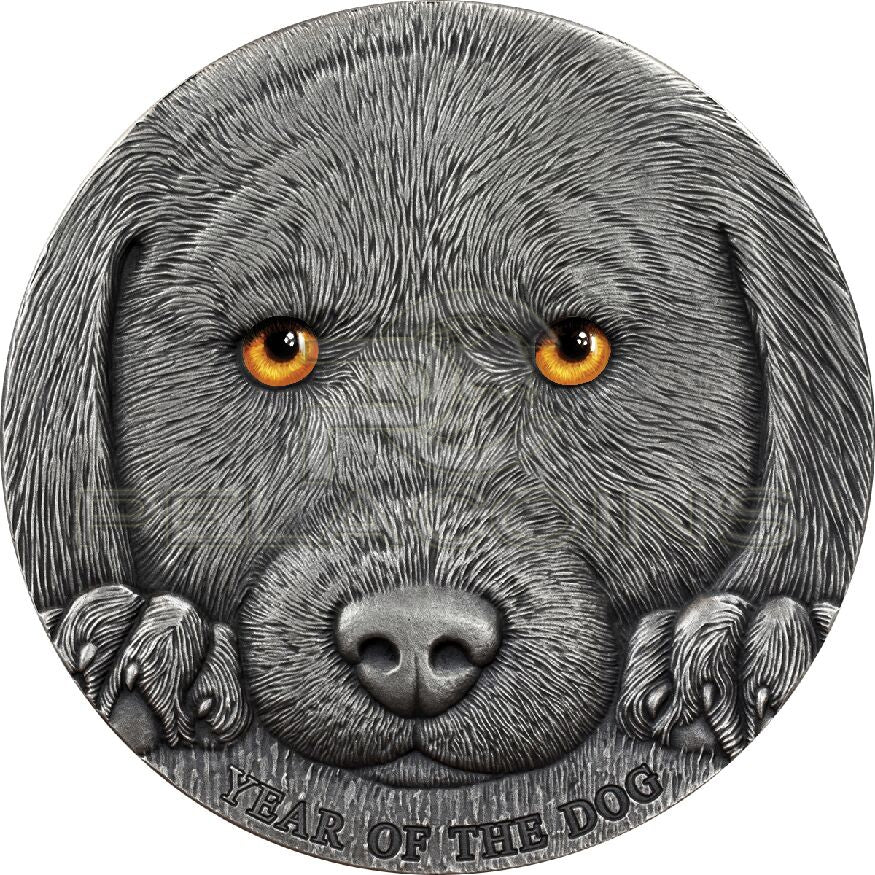 Cameroon 2018 3000 Francs Year of the Dog Chinese Lunar Calendar 3oz