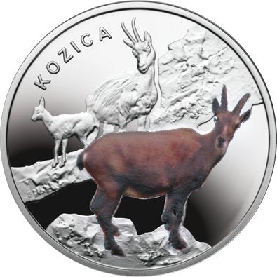 Kolekcja Symbole Przyrody - Kozica