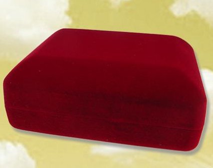 Etui na monetę w kapsule o nominale 20 zł