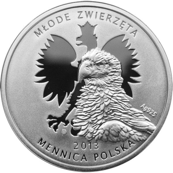 Kolekcja Młode Zwierzęta - Niedźwiedź brunatny, 2013