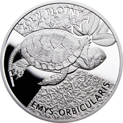 Kolekcja Młode Zwierzęta - Żółw Błotny (Emys orbicularis), 2010